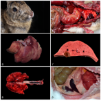 c36e1447861676e6ee09ab393da0d564.png c36e1447861676e6ee09ab393da0d564.png